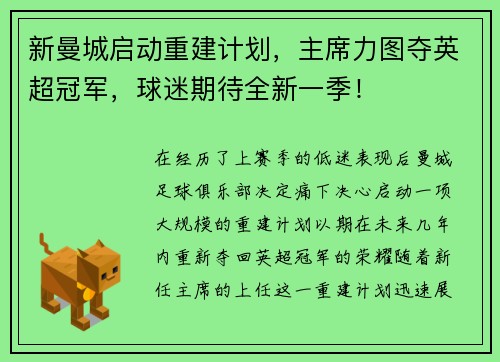 新曼城启动重建计划，主席力图夺英超冠军，球迷期待全新一季！