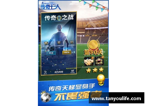 辉煌绿茵路足球传奇球星的光辉岁月与永恒追忆